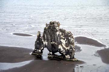 "Trollkuh" Hvítserkur